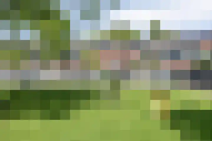 Pretoriusstraat 74 Ridderkerk thumbnail 5