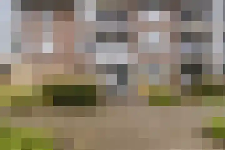 Pretoriusstraat 89 Ridderkerk thumbnail 7