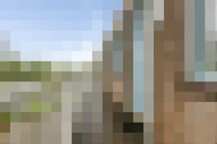 Pretoriusstraat 89 Ridderkerk thumbnail 9