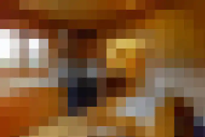 Prickart 18 a Bocholtz thumbnail 14