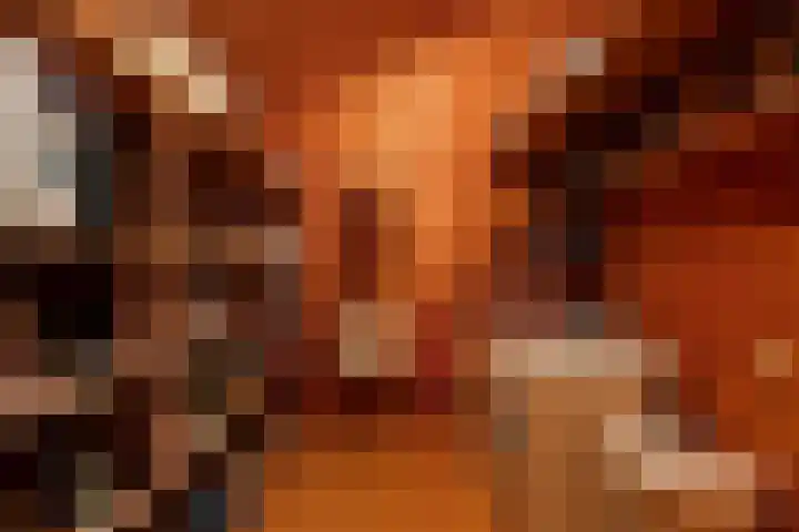 Prickart 18 a Bocholtz thumbnail 15