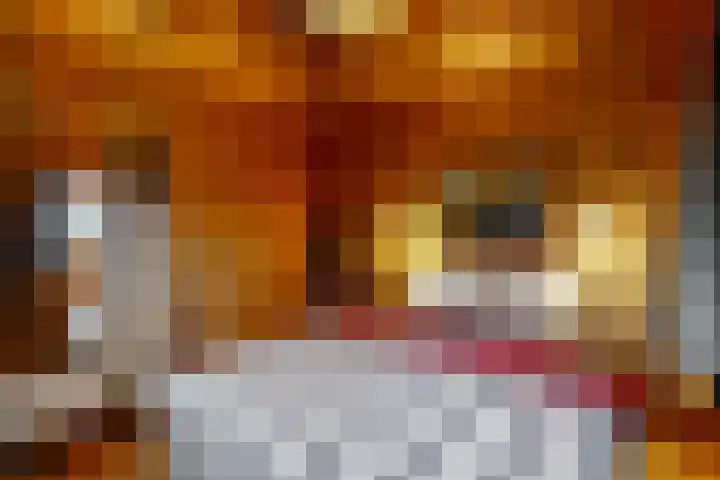 Prickart 18 a Bocholtz thumbnail 18