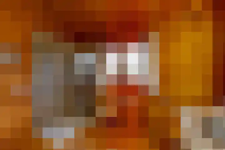 Prickart 18 a Bocholtz thumbnail 21