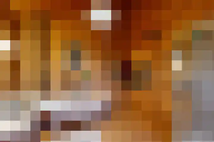 Prickart 18 a Bocholtz thumbnail 22