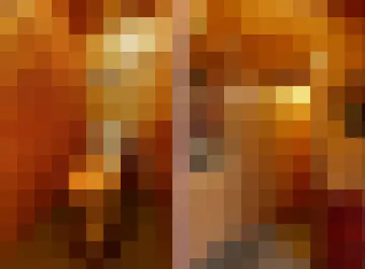 Prickart 18 a Bocholtz thumbnail 4