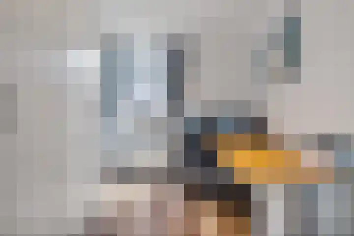 Pricksteenweg 25 Kerkrade thumbnail 18