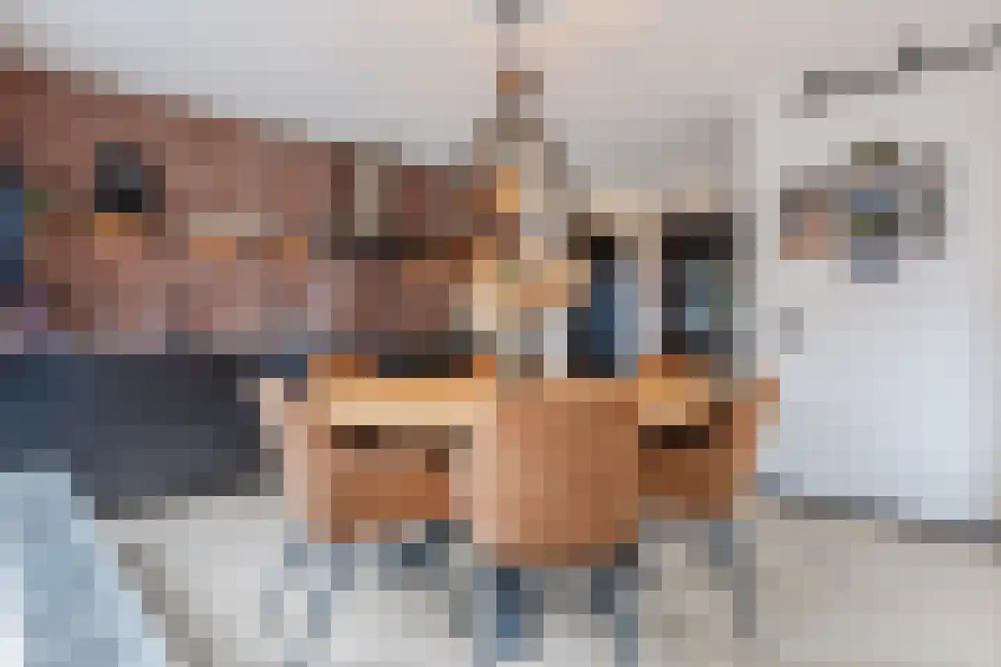 Priemkruid 1 Breda thumbnail 9