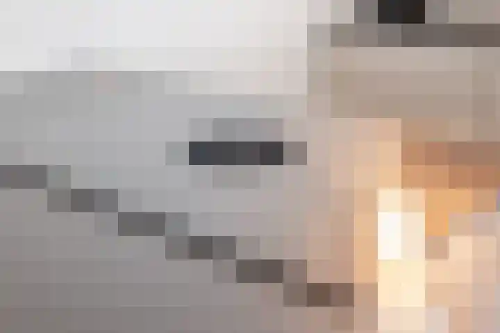Priemkruid 100 Breda thumbnail 12