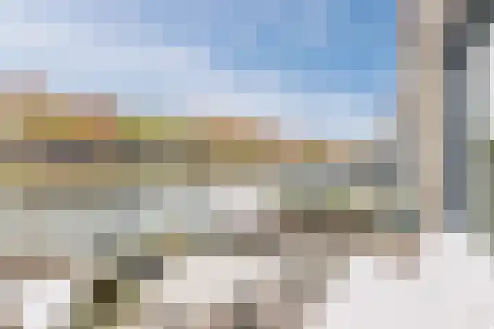 Priemkruid 100 Breda thumbnail 14