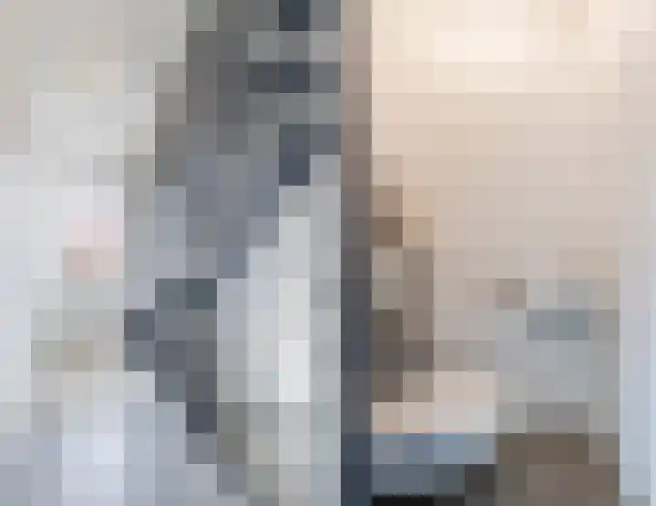 Priemkruid 100 Breda thumbnail 15