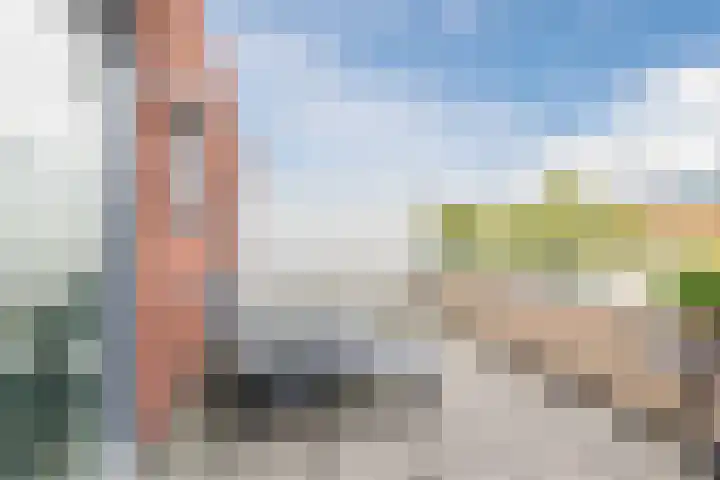 Priemkruid 100 Breda thumbnail 26