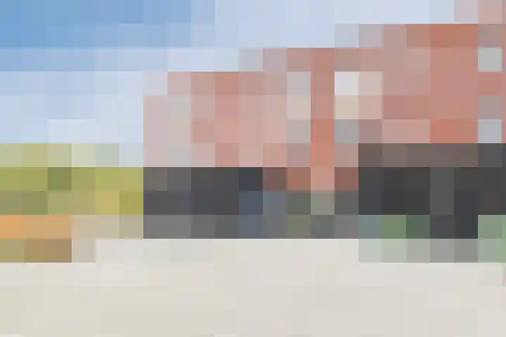 Priemkruid 100 Breda thumbnail 31