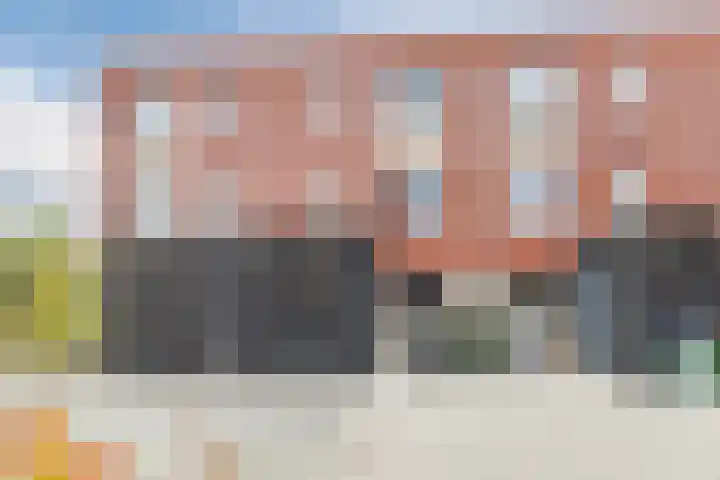 Priemkruid 100 Breda thumbnail 4