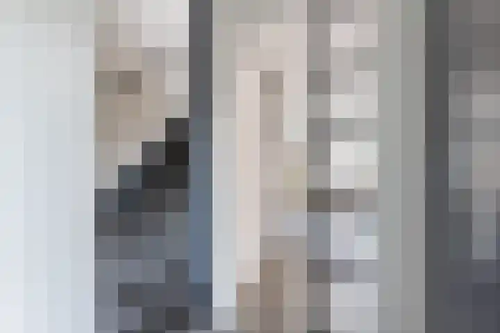 Priemkruid 100 Breda thumbnail 5