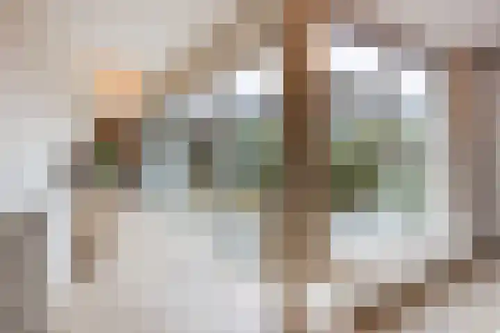 Priemkruid 33 Breda thumbnail 12