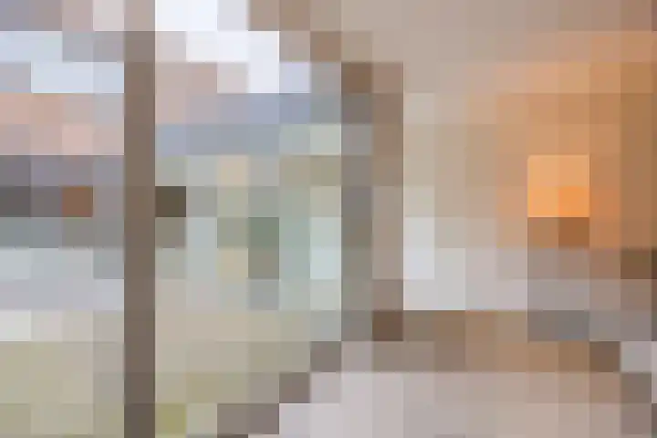 Priemkruid 33 Breda thumbnail 18