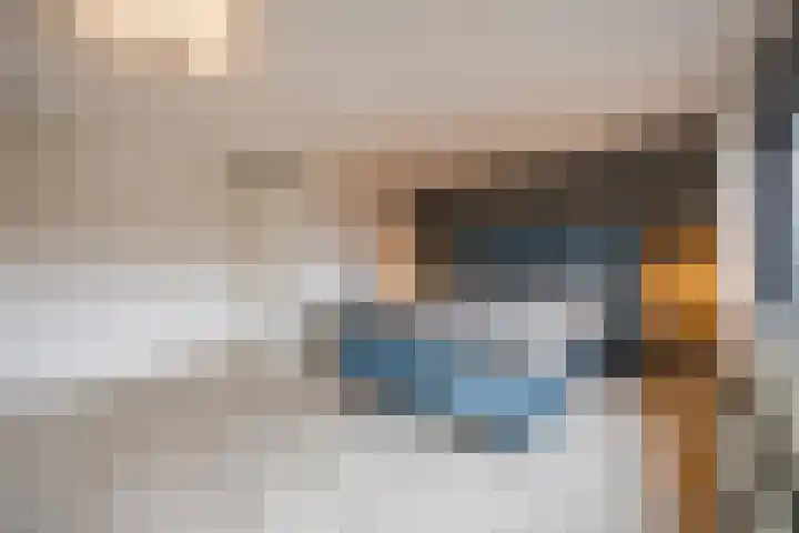 Priemkruid 33 Breda thumbnail 21