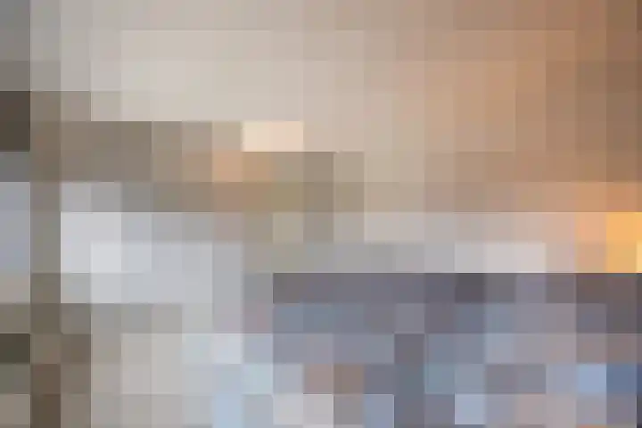 Priemkruid 33 Breda thumbnail 22