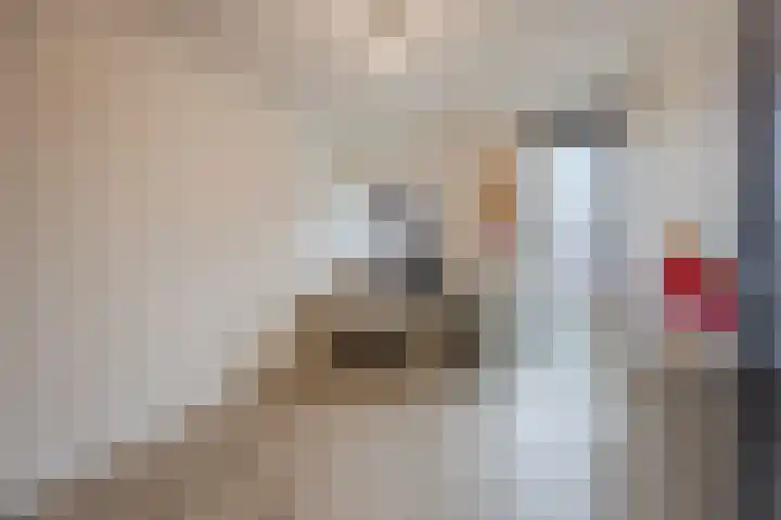 Priemkruid 33 Breda thumbnail 23