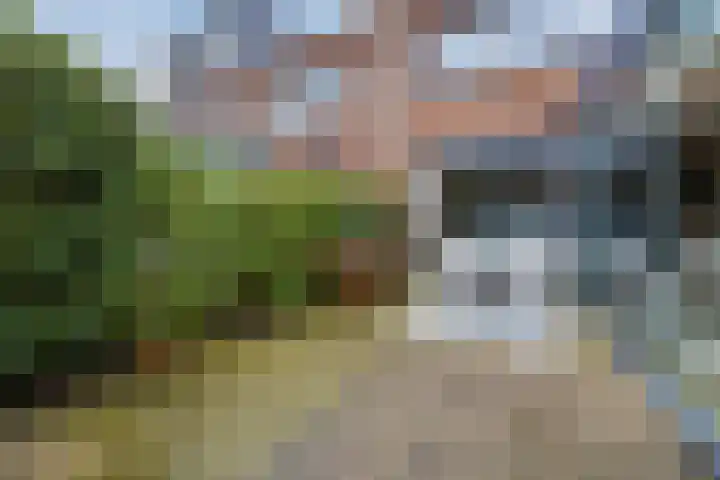 Priemkruid 33 Breda thumbnail 28