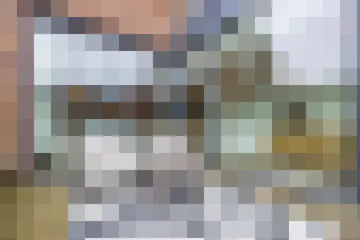 Priemkruid 33 Breda thumbnail 29