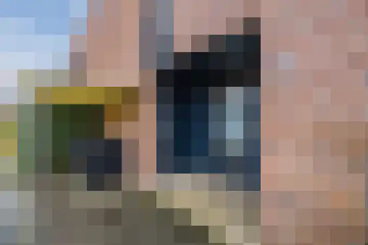 Priemkruid 33 Breda thumbnail 32