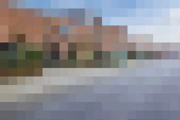 Priemkruid 33 Breda thumbnail 34