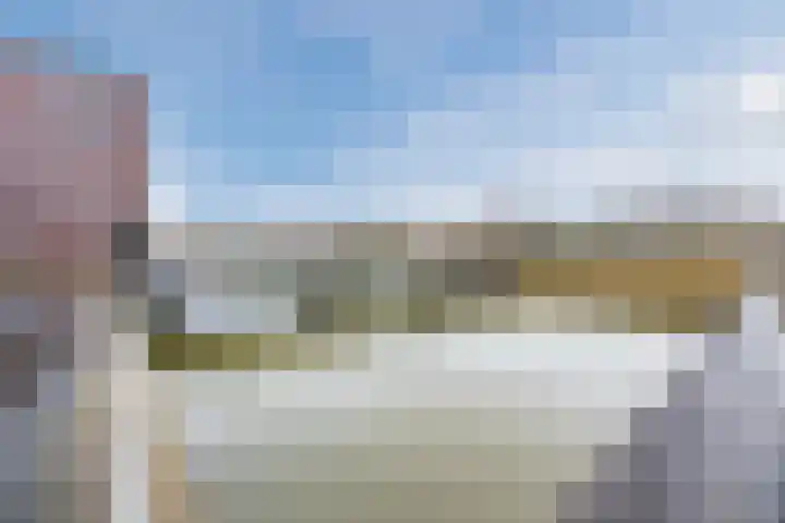 Priemkruid 33 Breda thumbnail 37