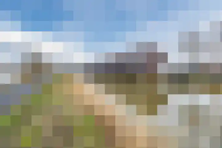 Priemkruid 33 Breda thumbnail 38