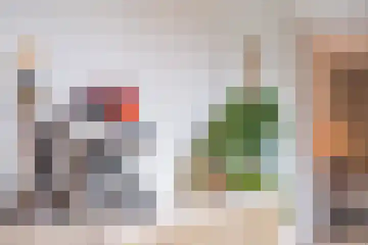 Priemkruid 33 Breda thumbnail 4