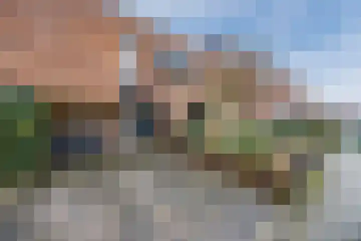 Priemkruid 33 Breda thumbnail 5