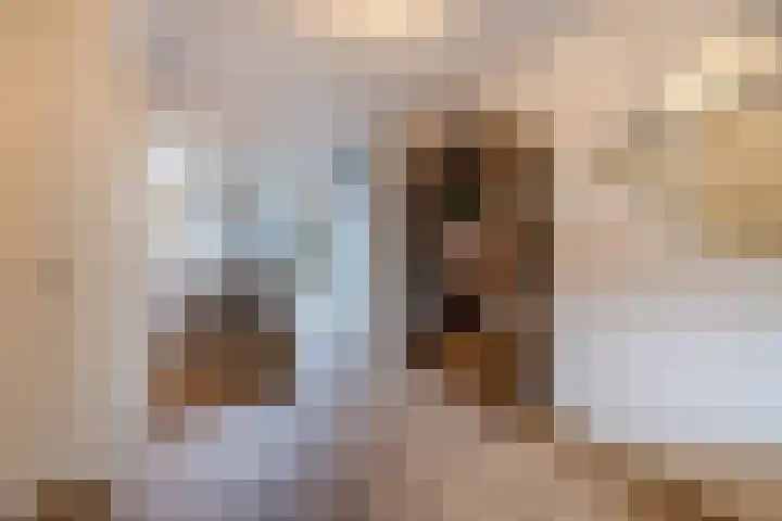 Priemkruid 33 Breda thumbnail 6