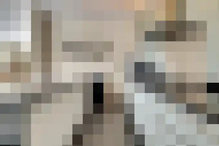 Priemsteeg 14 Haarsteeg thumbnail 12