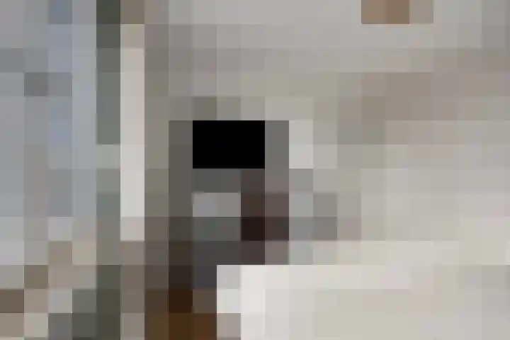 Priemsteeg 14 Haarsteeg thumbnail 14