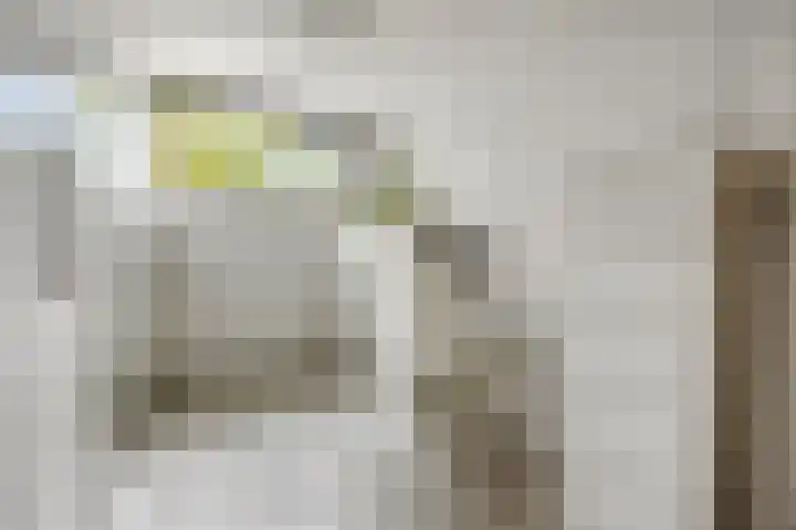 Priemsteeg 14 Haarsteeg thumbnail 27