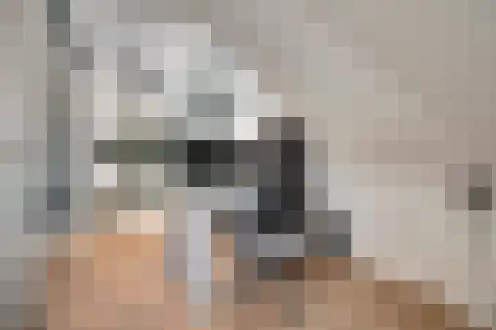 Priemsteeg 14 Haarsteeg thumbnail 34
