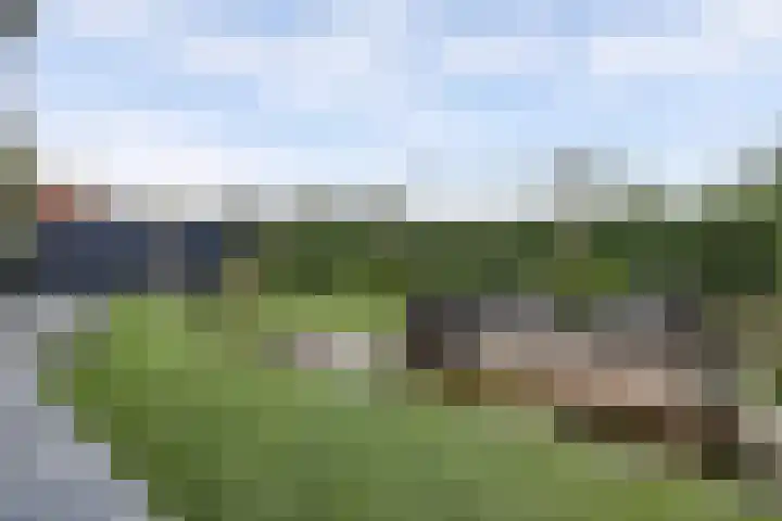 Priemsteeg 14 Haarsteeg thumbnail 40