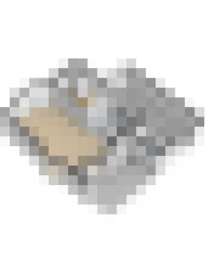 Priemsteeg 14 Haarsteeg thumbnail 43
