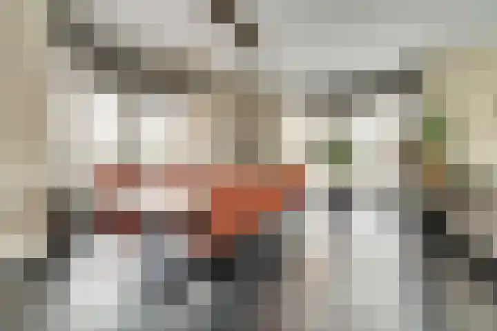 Priemsteeg 14 Haarsteeg thumbnail 7