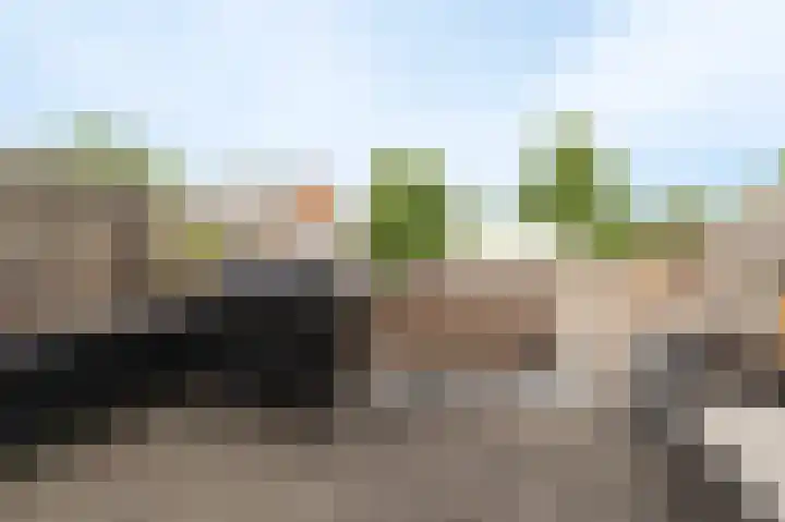 Prijssestraat 55 Culemborg thumbnail 34
