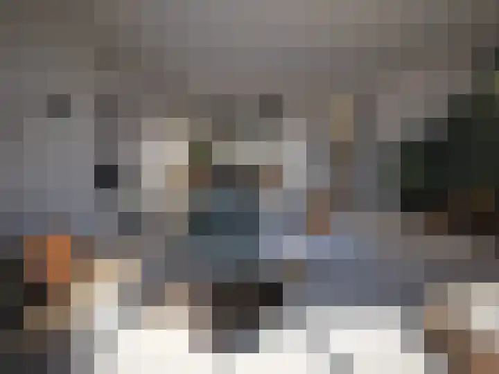 Prikkengat 27 Maassluis thumbnail 4