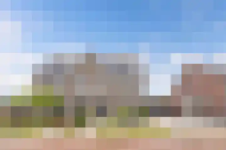 Primula 5 Ens thumbnail 10
