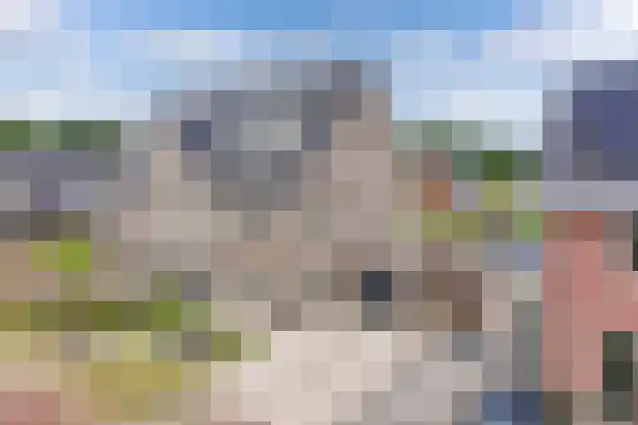 Primula 5 Ens thumbnail 11
