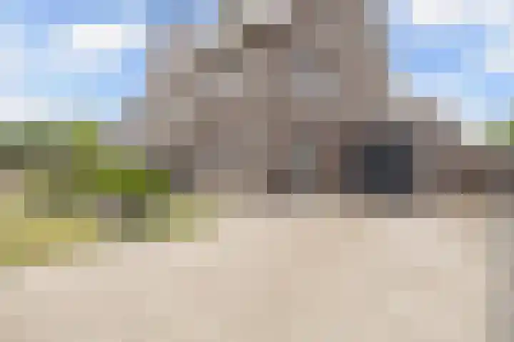 Primula 5 Ens thumbnail 12
