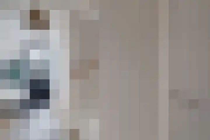 Primula 5 Ens thumbnail 14