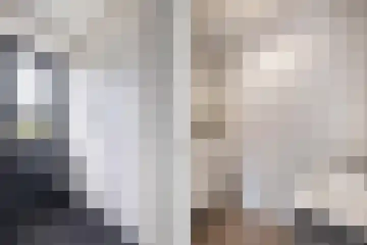 Primula 5 Ens thumbnail 15
