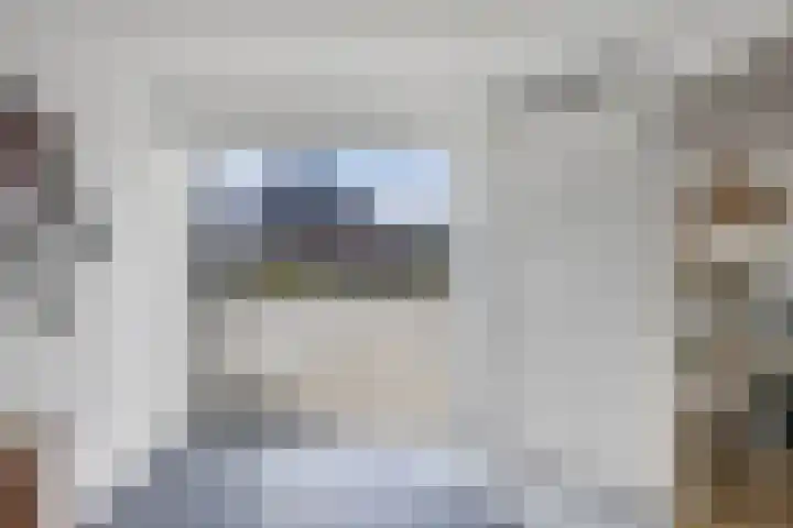 Primula 5 Ens thumbnail 16