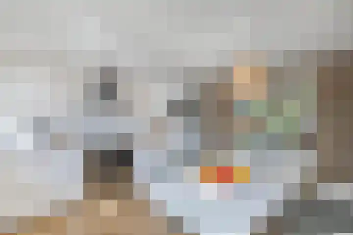 Primula 5 Ens thumbnail 20