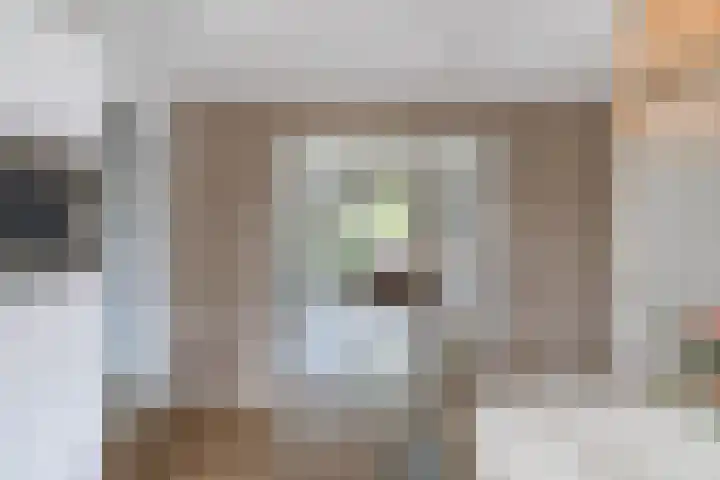 Primula 5 Ens thumbnail 22