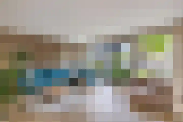 Primula 5 Ens thumbnail 23